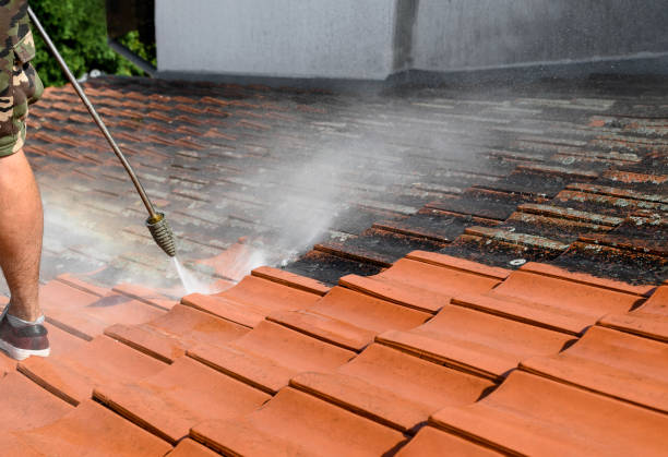 Best Roof Pressure Washing  in Altamont, TN