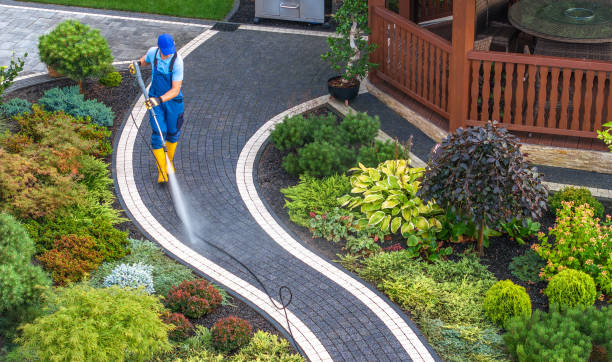 Best Local Pressure Washing Services  in Altamont, TN